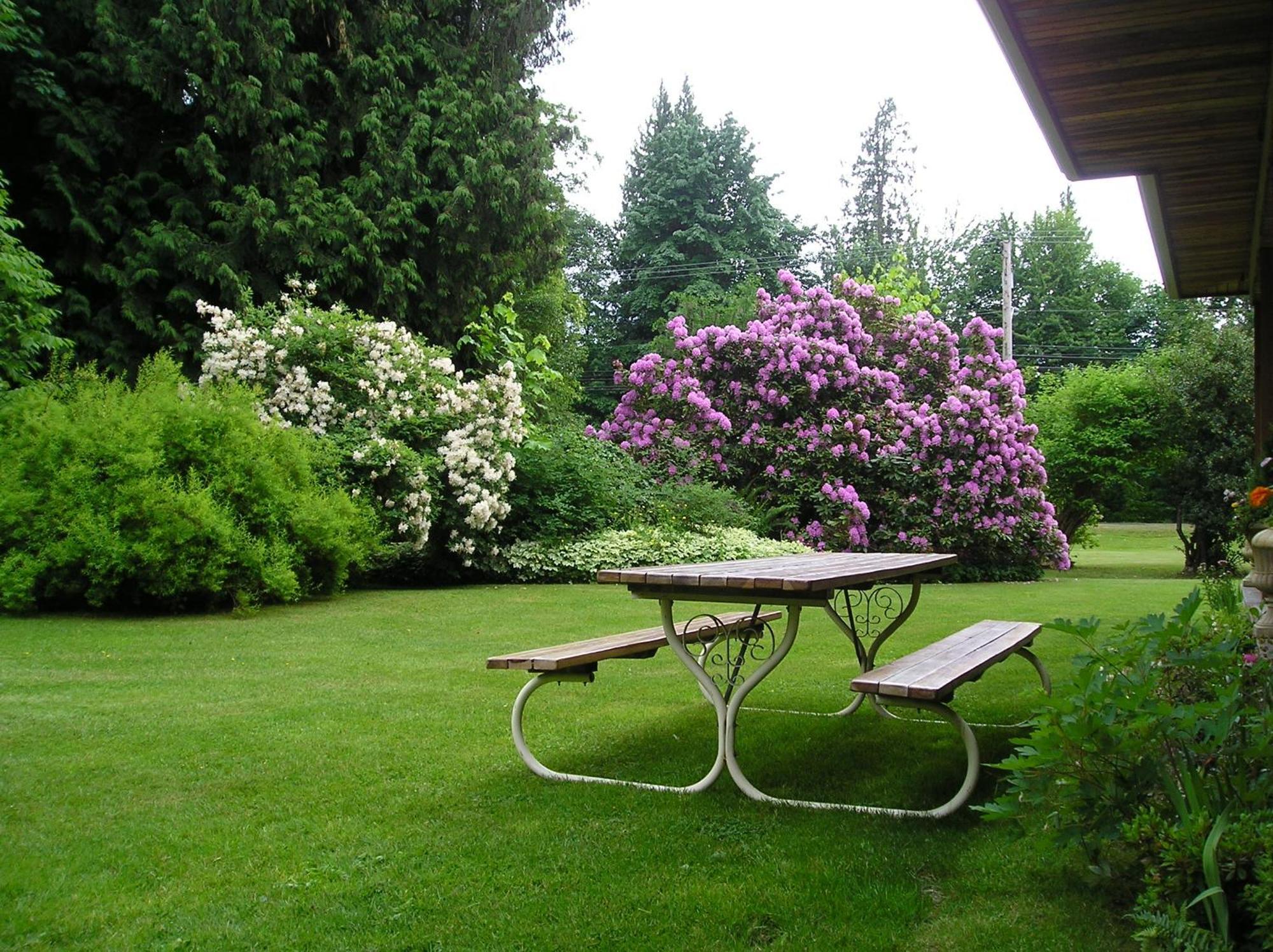 Cedar Wood Lodge Bed & Breakfast Inn Port Alberni Exteriér fotografie