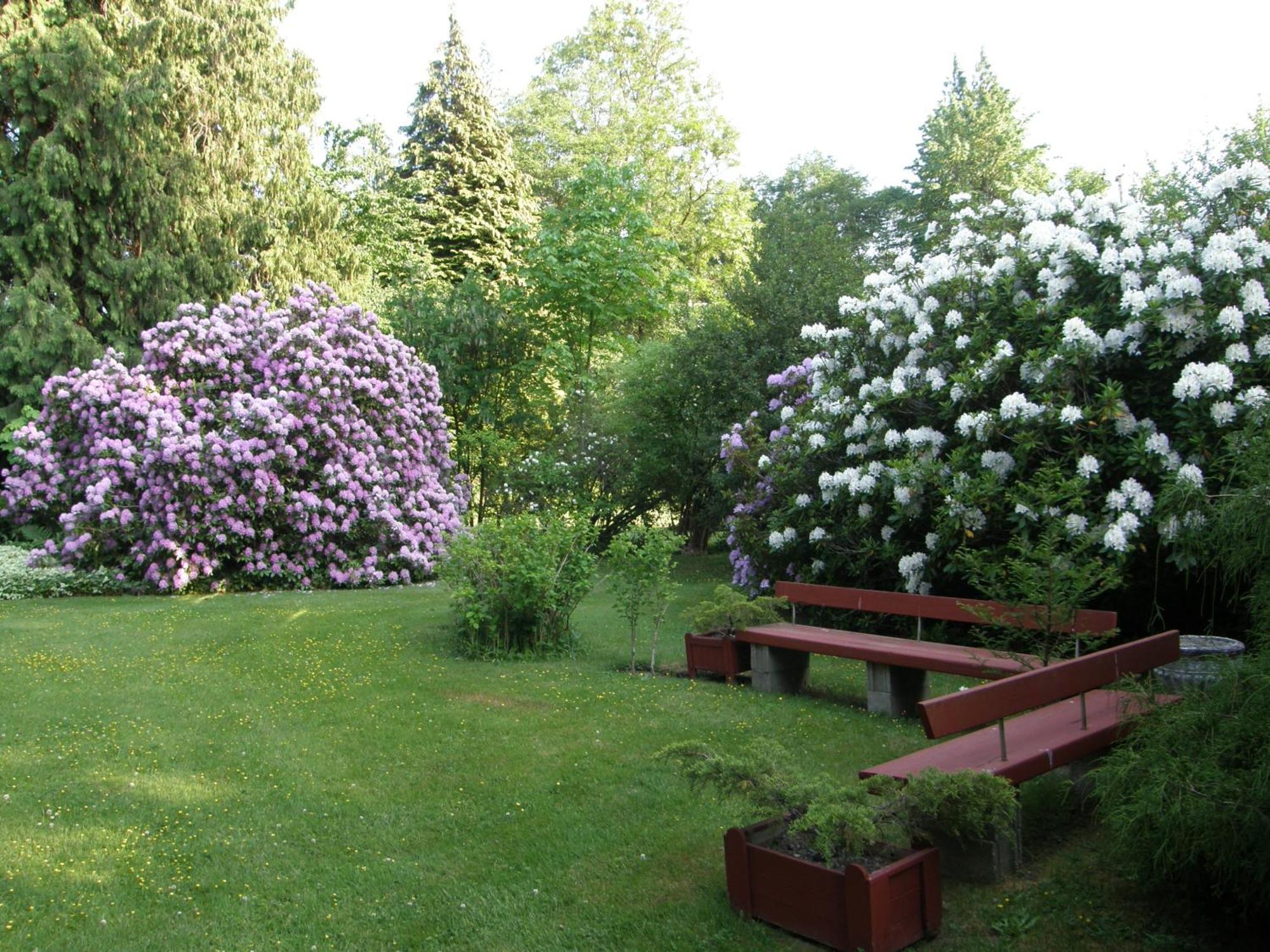 Cedar Wood Lodge Bed & Breakfast Inn Port Alberni Exteriér fotografie