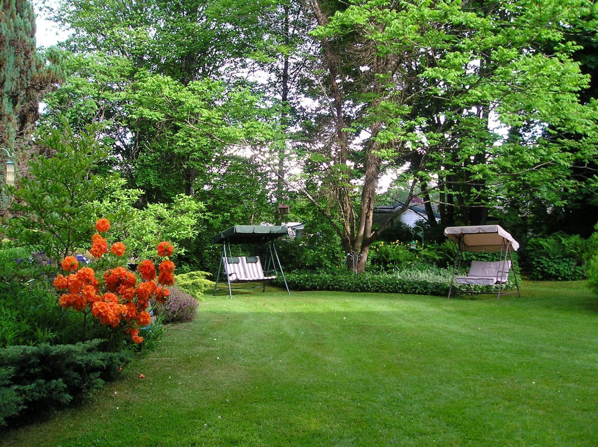 Cedar Wood Lodge Bed & Breakfast Inn Port Alberni Exteriér fotografie